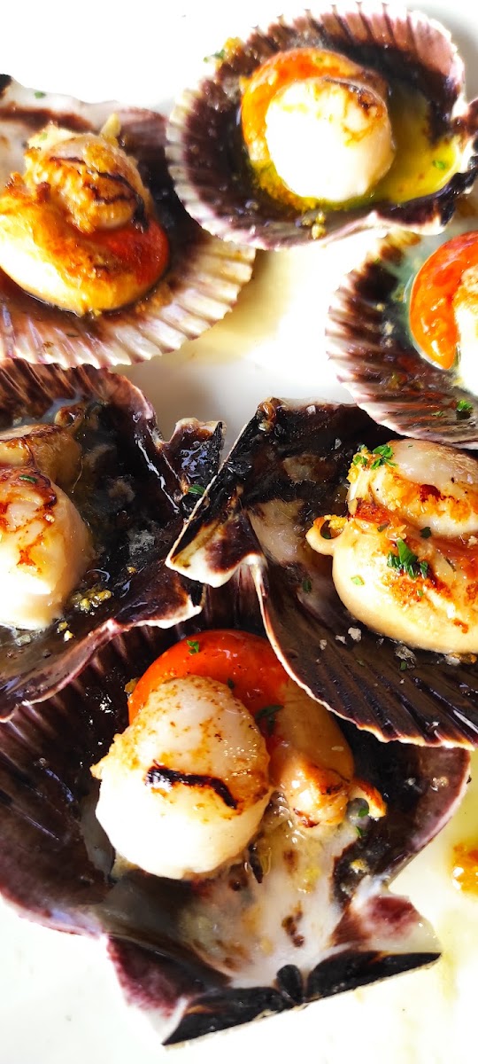 El Galeón Restaurant-5